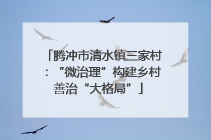 腾冲市清水镇三家村：“微治理”构建乡村善治“大格局”