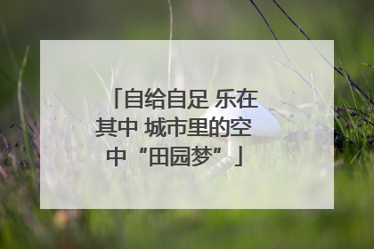 自给自足 乐在其中 城市里的空中“田园梦”