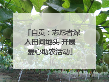自贡：志愿者深入田间地头 开展爱心助农活动