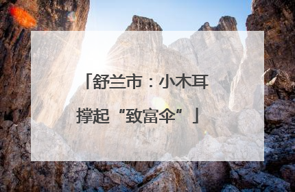 舒兰市：小木耳撑起“致富伞”
