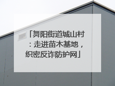 舞阳街道城山村：走进苗木基地，织密反诈防护网