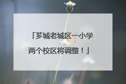 芗城老城区一小学两个校区将调整！