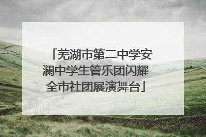 芜湖市第二中学安澜中学生管乐团闪耀全市社团展演舞台