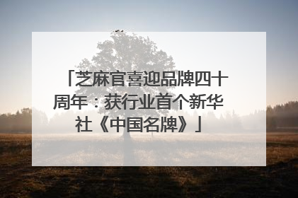 芝麻官喜迎品牌四十周年：获行业首个新华社《中国名牌》