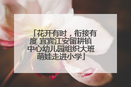 花开有时，衔接有度 宜宾江安留耕镇中心幼儿园组织大班萌娃走进小学