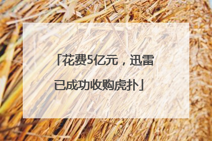 花费5亿元，迅雷已成功收购虎扑