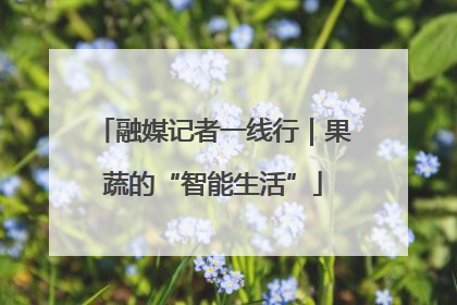 融媒记者一线行｜果蔬的“智能生活”