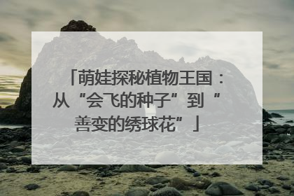 萌娃探秘植物王国：从“会飞的种子”到“善变的绣球花”