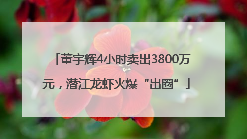 董宇辉4小时卖出3800万元，潜江龙虾火爆“出圈”