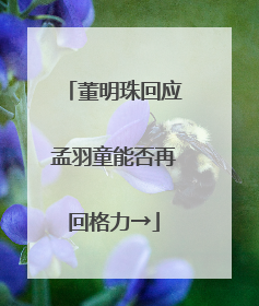 董明珠回应孟羽童能否再回格力→