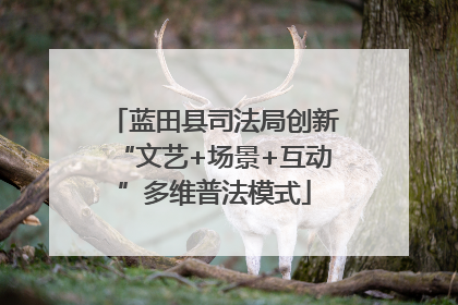 蓝田县司法局创新“文艺+场景+互动”多维普法模式