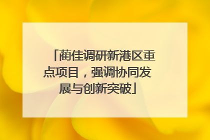 蔺佳调研新港区重点项目，强调协同发展与创新突破