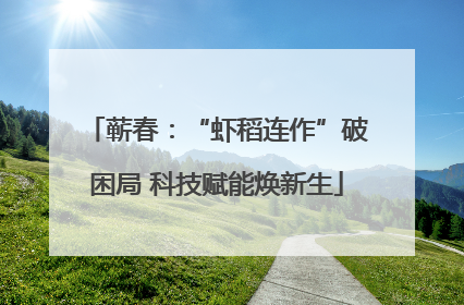 蕲春：“虾稻连作”破困局 科技赋能焕新生