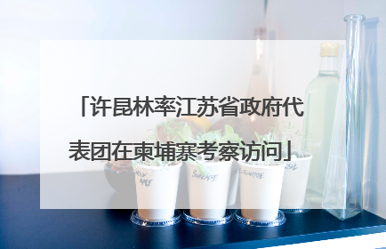 许昆林率江苏省政府代表团在柬埔寨考察访问