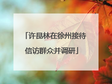 许昆林在徐州接待信访群众并调研