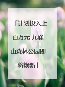 计划投入上百万元 九峰山森林公园即将焕新