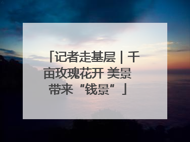 记者走基层｜千亩玫瑰花开 美景带来“钱景”