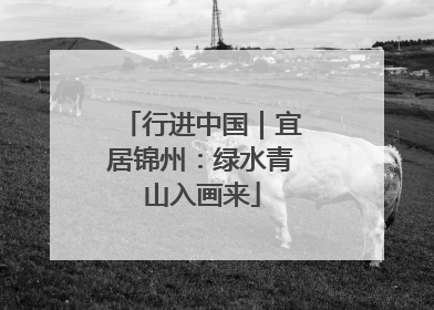 行进中国｜宜居锦州：绿水青山入画来