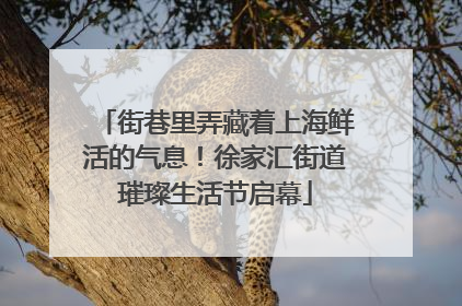 街巷里弄藏着上海鲜活的气息！徐家汇街道璀璨生活节启幕