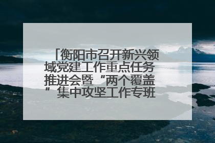 衡阳市召开新兴领域党建工作重点任务推进会暨“两个覆盖”集中攻坚工作专班 第一次会议