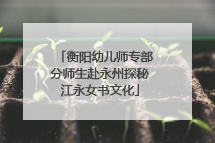 衡阳幼儿师专部分师生赴永州探秘江永女书文化