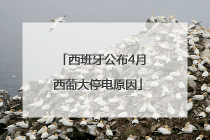 西班牙公布4月西葡大停电原因