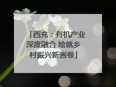 西充：有机产业深度融合 绘就乡村振兴新画卷