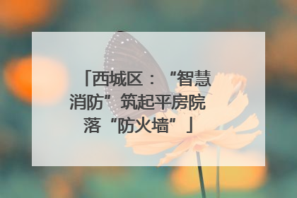 西城区：“智慧消防”筑起平房院落“防火墙”