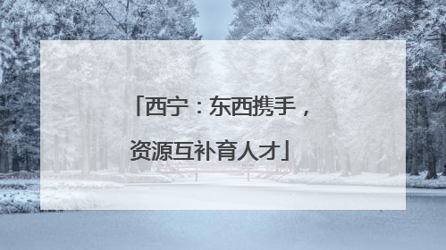 西宁：东西携手，资源互补育人才