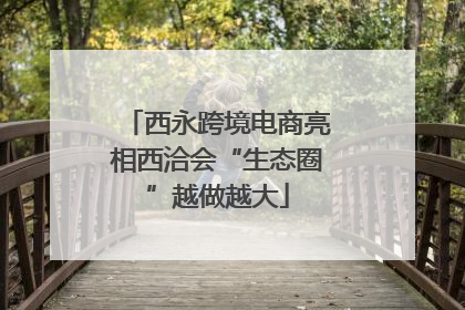 西永跨境电商亮相西洽会“生态圈”越做越大