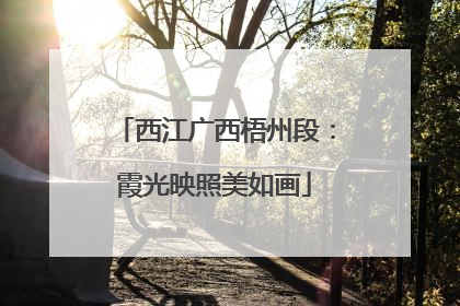 西江广西梧州段：霞光映照美如画