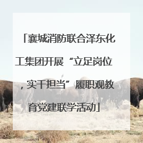 襄城消防联合泽东化工集团开展“立足岗位，实干担当”履职观教育党建联学活动