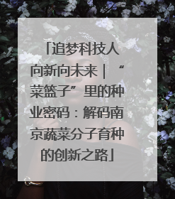 追梦科技人 向新向未来｜“菜篮子”里的种业密码：解码南京蔬菜分子育种的创新之路