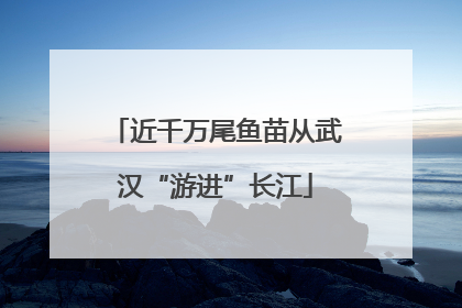 近千万尾鱼苗从武汉“游进”长江