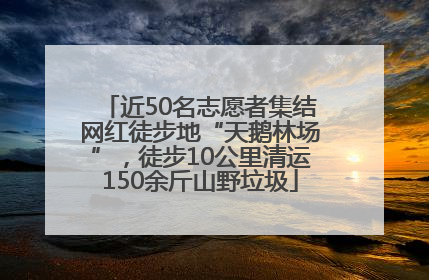 近50名志愿者集结网红徒步地“天鹅林场”，徒步10公里清运150余斤山野垃圾