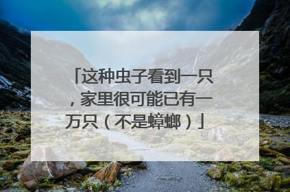 这种虫子看到一只，家里很可能已有一万只（不是蟑螂）