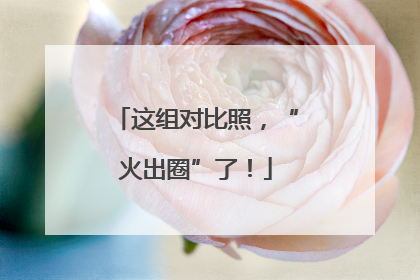 这组对比照，“火出圈”了！