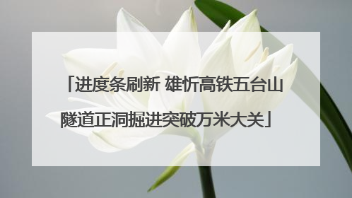 进度条刷新 雄忻高铁五台山隧道正洞掘进突破万米大关