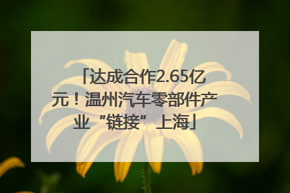 达成合作2.65亿元！温州汽车零部件产业“链接”上海