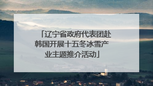 辽宁省政府代表团赴韩国开展十五冬冰雪产业主题推介活动