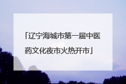 辽宁海城市第一届中医药文化夜市火热开市