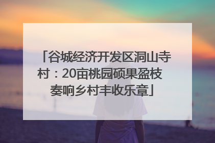 谷城经济开发区洞山寺村：20亩桃园硕果盈枝 奏响乡村丰收乐章