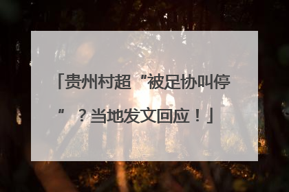 贵州村超“被足协叫停”？当地发文回应！