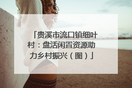 贵溪市流口镇细叶村：盘活闲置资源助力乡村振兴（图）