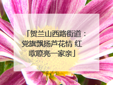 贺兰山西路街道：党旗飘扬芦花情 红歌嘹亮一家亲