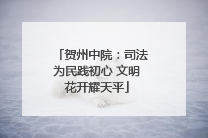贺州中院：司法为民践初心 文明花开耀天平