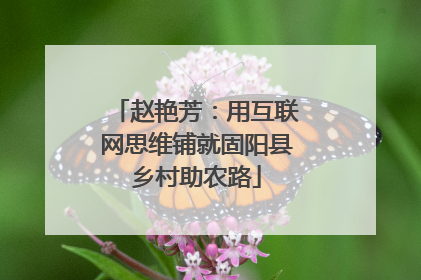 赵艳芳：用互联网思维铺就固阳县乡村助农路