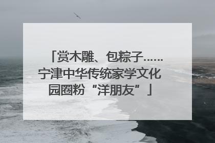 赏木雕、包粽子……宁津中华传统家学文化园圈粉“洋朋友”