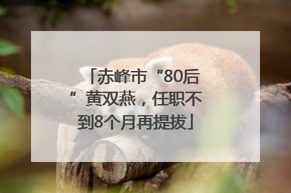 赤峰市“80后”黄双燕，任职不到8个月再提拔