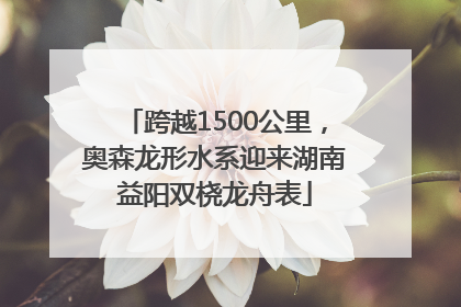 跨越1500公里，奥森龙形水系迎来湖南益阳双桡龙舟表